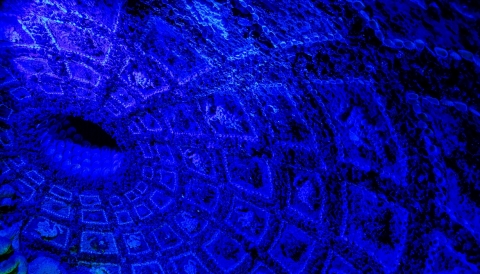 The Increasing Momentum of Artificial Intelligence (AI) Acquisitions
