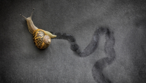 Why it’s Critical You Take Action Now to Propel Your Software Tech Business to the Next Stage of its Lifecycle 