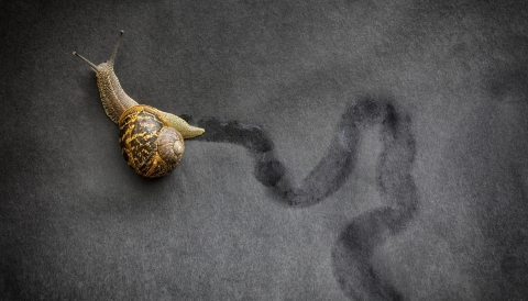Why it’s Critical You Take Action Now to Propel Your Software Tech Business to the Next Stage of its Lifecycle 